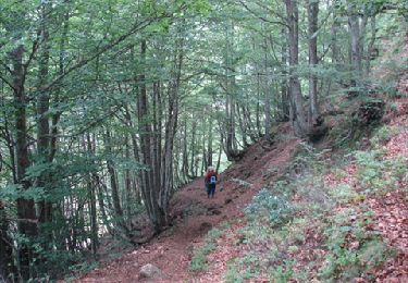 Trail Walking Aulus-les-Bains - Pyrénées-120905 - PicGirantès-PortSaleix - Photo
