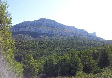 Trail Walking Marseille - Les Monts de Luminy - Photo