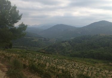 Trail Walking Beaumes-de-Venise - autour des dentelles de Montmirail - Photo