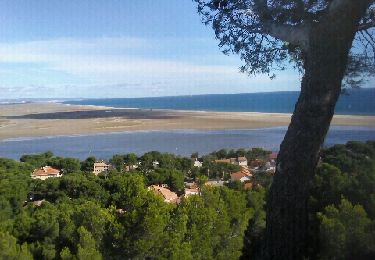 Tour Wandern Leucate - hauteur de leucate - Photo