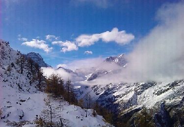 Trail Walking Vallouise-Pelvoux - Bellevedere des 3 refuges - Photo