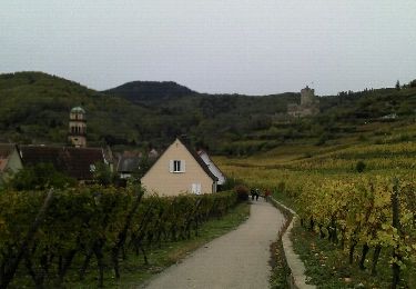 Tour Wandern Kaysersberg-Vignoble - Balade dans les vignes à Kaysersberg - Photo