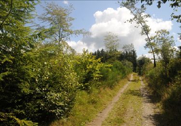 Tour Wandern Vresse-sur-Semois - Vresse-sur-Semois. Natura 2000, des fiches qui valent le détour ! Na1 - Photo