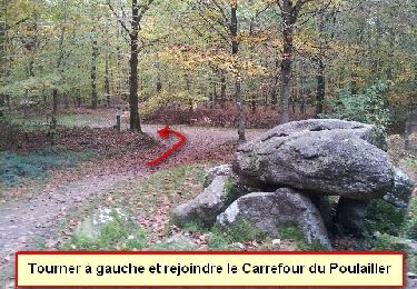 Randonnée Marche nordique Landéan - CMN Du Poulailler à Galoupel 10 km - Photo