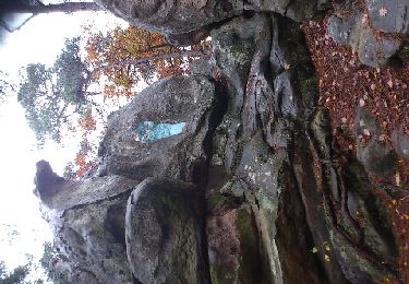 Percorso Altra attività Fontainebleau - fontainebleau - Photo