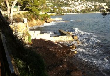 Percorso Corsa a piedi Belluogo - tour du cap Ferrât - Photo