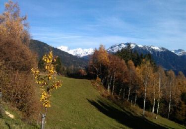 Tour Schneeschuhwandern Passy - boucle du lac vert - Photo