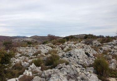 Randonnée Marche Saint-Jeannet - baou de saint jeannet - Photo