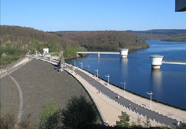 Tocht Stappen Jalhay - Barrage de la Gileppe-barrage d'Eupen - Photo