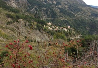 Randonnée Marche Toudon - toudon - Photo