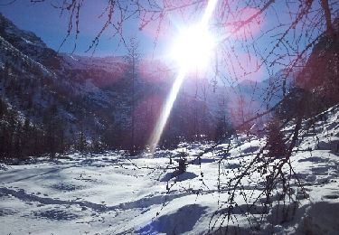 Trail Other activity Cogne - paradis glaciers  - Photo