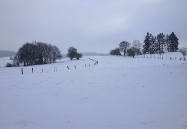 Excursión Marcha nórdica Vaux-sur-Sûre - Morhet - Photo