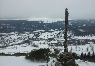 Tocht Sneeuwschoenen Albepierre-Bredons - Col et puy de Molède - Photo