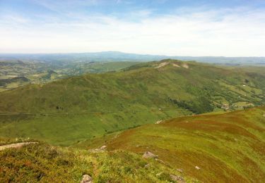 Randonnée Marche Lavigerie - Le Puy de Peyre Arse depuis la Gravière - Photo