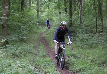 Trail Mountain bike Arelaune-en-Seine - 1er Caux bike Ride - Vatteville la Rue - Photo