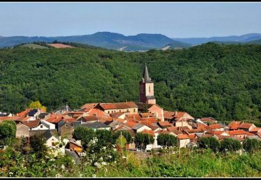 Percorso Bicicletta Nant - Circuit des 10 plus beaux villages de France de l'Aveyron - Nant - Réquista - Photo