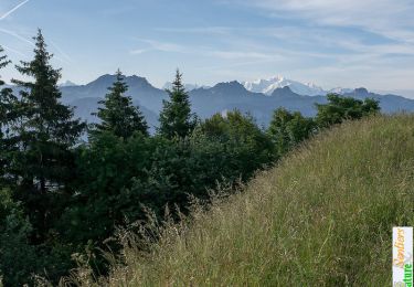 Tour Wandern Draillant - Le Mont Forchat, 1539m - Habère Lullin - Photo
