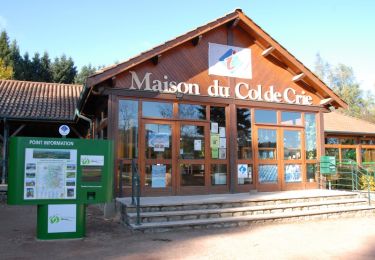 Excursión Bici de montaña Deux-Grosnes - Circuit VTT Monsols (Col de Crie) - Ouroux - Photo