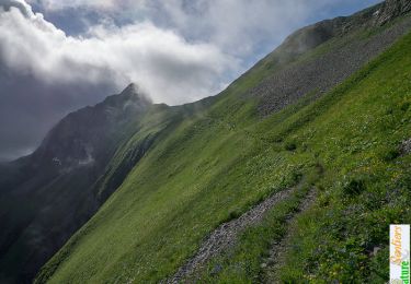 Trail Walking Le Reposoir - La Pointe d'Almet, 2232 m - Le Reposoir - Photo