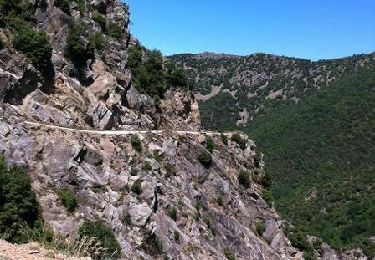 Trail Mountain bike Taurinya - Descente du Cortalet (Canigou) - Photo