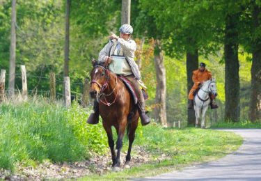 Trail Equestrian Saméon - L'Equi-Pévèloise - Saméon - Photo