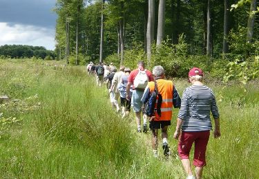 Trail Walking Mesnières-en-Bray - Vers la Forêt d'Eawy -  Mesnières-en-Bray   - Photo