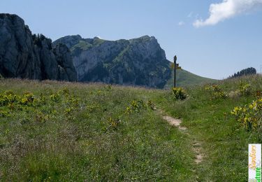 Trail Walking Saint-Pierre-d'Entremont - Par les Cols de Léchaud et de Bovinant - Saint Pierre d'Entremont - Photo