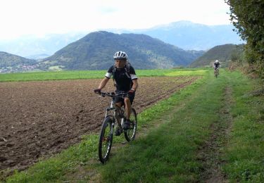 Percorso Mountainbike Saint-Martin-d'Uriage - VTT aux Seiglières - Uriage Les Bains - Photo