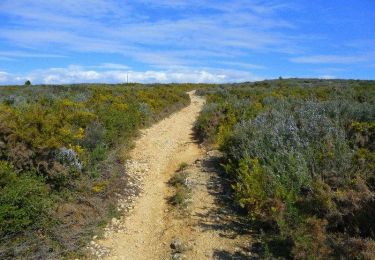 Trail Walking Le Rove - Chemin des Douaniers - Le Rove - Photo
