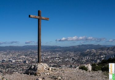 Randonnée Marche Marseille - Le Sommet de Marseilleveyre, depuis Montredon - Photo