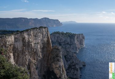 Tour Wandern Marseille - Traversée du Cap Gros par les Falaises du Devenson depuis le Col de la Gardiole - Photo
