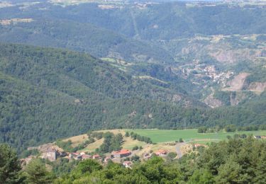 Tour Wandern Saint-Privat-d'Allier - Autour de St Privat d'Allier - Photo