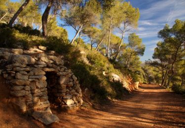 Trail Walking Aix-en-Provence - Circuit des lacs Zola et Bimont - Aix-en-Provence - Photo