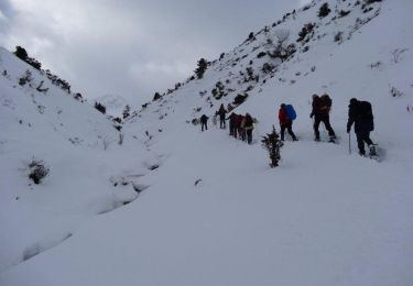 Tour Schneeschuhwandern Campan - Courtaou de Sarroua -  Campan - Photo