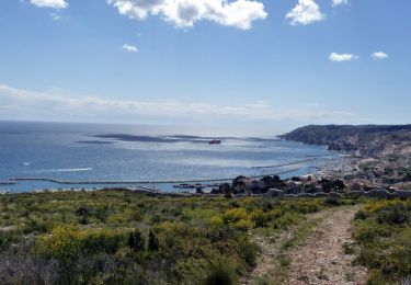 Randonnée Course à pied Marseille - La tête d'Auguste - Marseille - Photo
