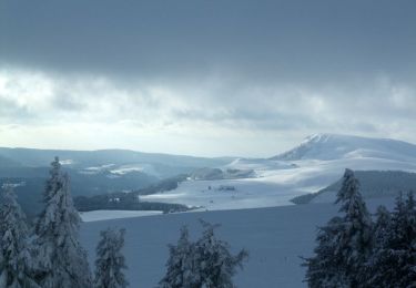 Tour Schneeschuhwandern Orcival - Du Guéry au bois de Pessade - Photo