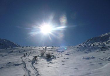 Trail Snowshoes Campan - Castet Sarradis - Campan - Photo