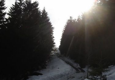 Trail Walking Grandfontaine - Le Donon en raquettes - Grandfontaine - Photo