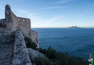 Tocht Stappen Marseille - Morgiou, le Port, le Cap et la Crête depuis Luminy - Photo