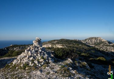 Tour Wandern Marseille - Le Plateau de l'Homme Mort, depuis les Baumettes - Photo