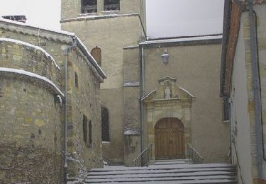 Tocht Stappen Saint-Maurice - Autour du Puy St Romain - Saint-Maurice-ès-Allier - Photo