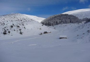 Tour Schneeschuhwandern Campan - Le Plo Del Naou - Payolle - Photo