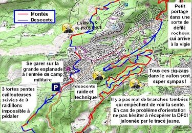 Trail Mountain bike Cassis - Tour de Carnoux - Photo