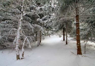 Randonnée Raquettes à neige Laguiole - Circuit botanique de Laguiole - Photo