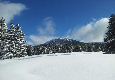 Randonnée Raquettes à neige Bellevaux - vers tres le saix - Photo