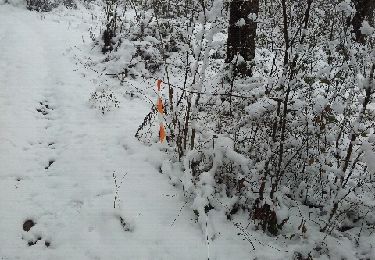Tour Schneeschuhwandern Archettes - le chenat raquettes - Photo
