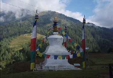 Tour Wandern Jubing - Day 3 Everest Base Camp - Photo