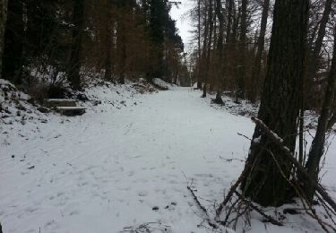 Trail Walking Royat - Oclede Charade Arboretum_T - Photo