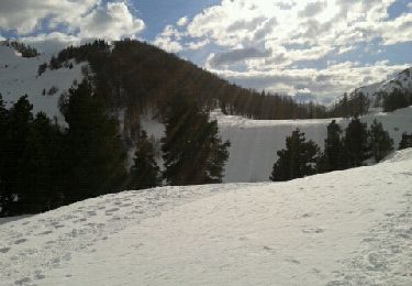 Tour Schneeschuhwandern Laye - Col de gleize - Photo