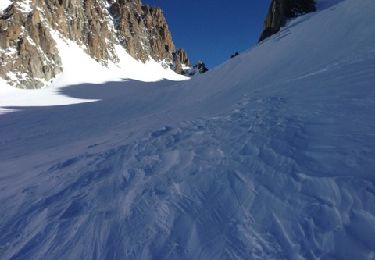 Trail Other activity Chamonix-Mont-Blanc - chardonnay col - Photo